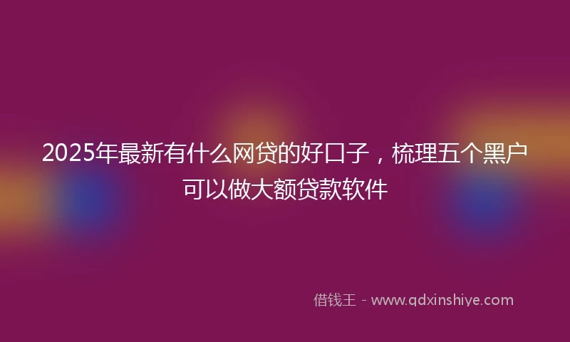 2025年最新有什么网贷的好口子，梳理五个黑户可以做大额贷款软件