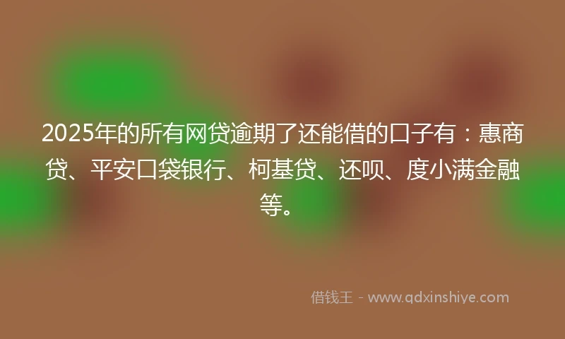 2025年的所有网贷逾期了还能借的口子有：惠商贷、平安口袋银行、柯基贷、还呗、度小满金融等。