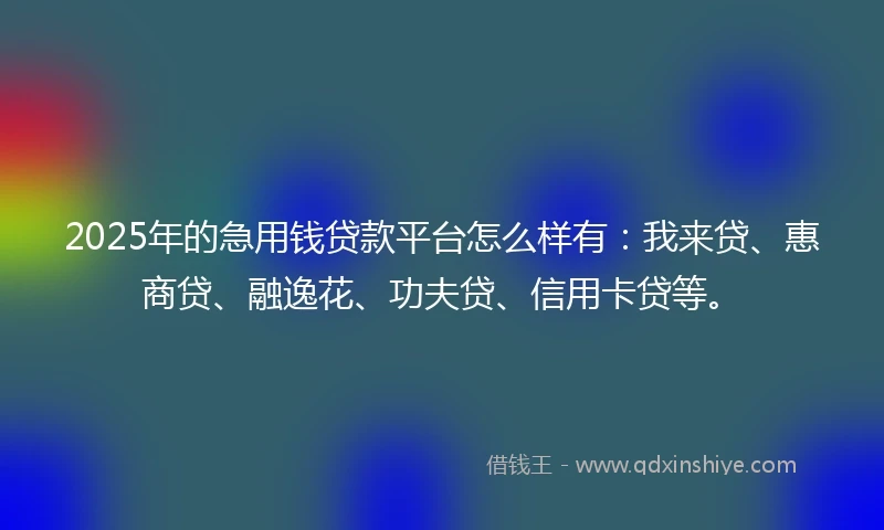 2025年的急用钱贷款平台怎么样有：我来贷、惠商贷、融逸花、功夫贷、信用卡贷等。