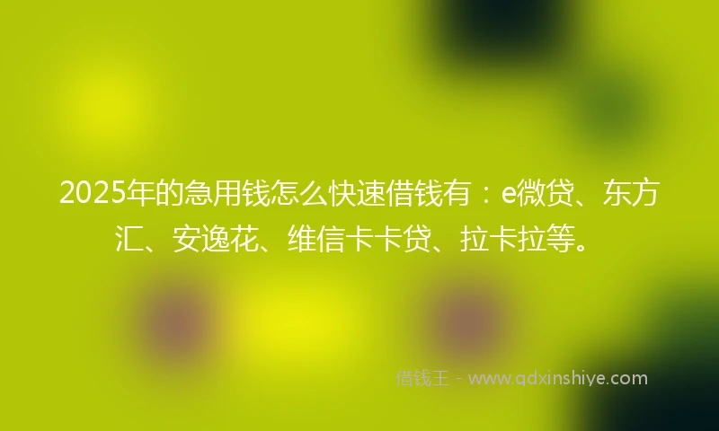 2025年的急用钱怎么快速借钱有：e微贷、东方汇、安逸花、维信卡卡贷、拉卡拉等。