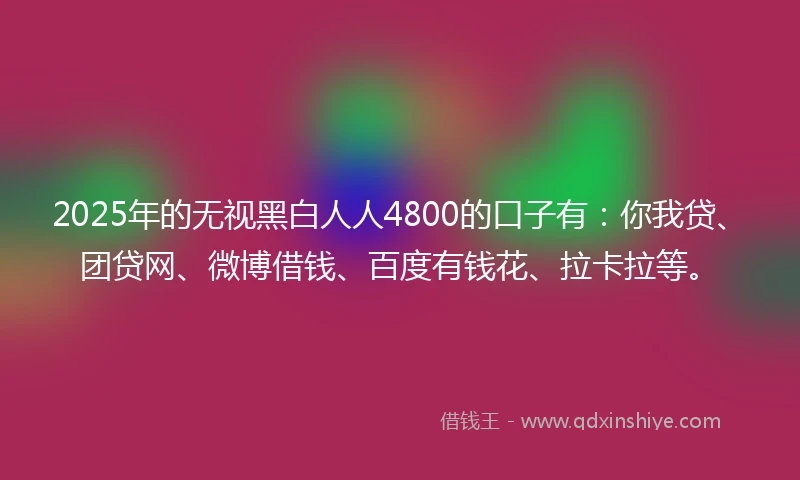 2025年的无视黑白人人4800的口子有：你我贷、团贷网、微博借钱、百度有钱花、拉卡拉等。