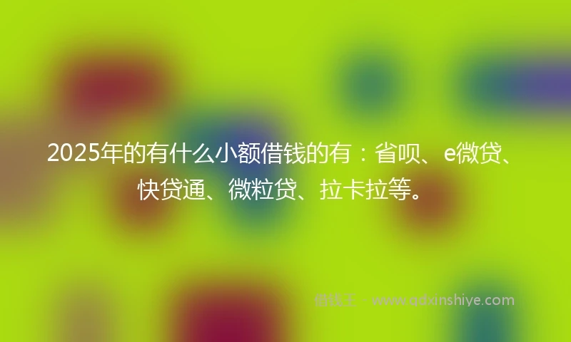 2025年的有什么小额借钱的有：省呗、e微贷、快贷通、微粒贷、拉卡拉等。