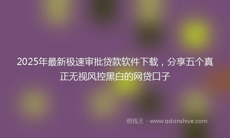 2025年最新极速审批贷款软件下载，分享五个真正无视风控黑白的网贷口子