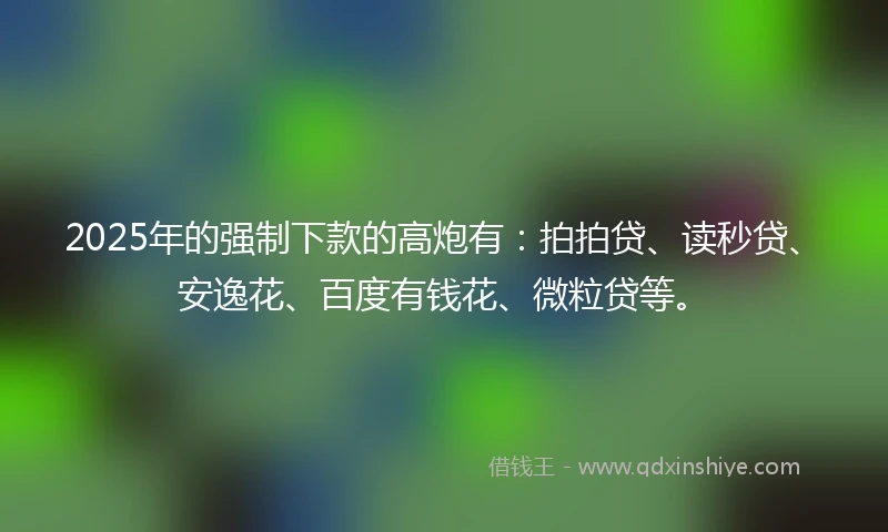 2025年的强制下款的高炮有：拍拍贷、读秒贷、安逸花、百度有钱花、微粒贷等。