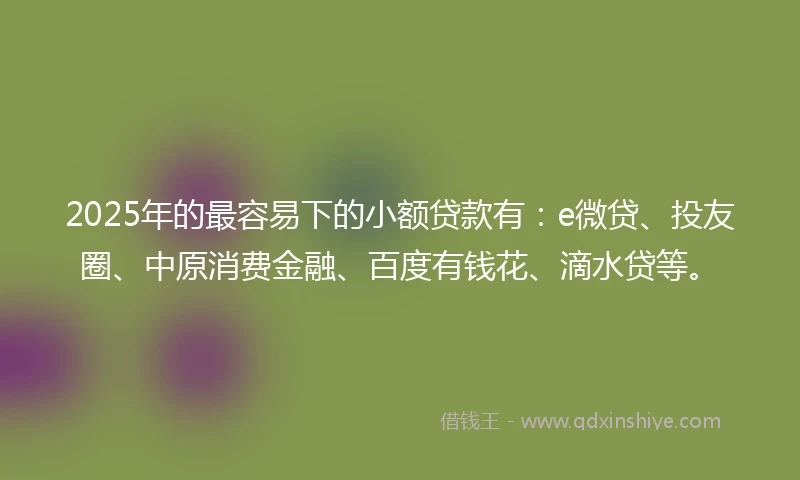 2025年的最容易下的小额贷款有：e微贷、投友圈、中原消费金融、百度有钱花、滴水贷等。