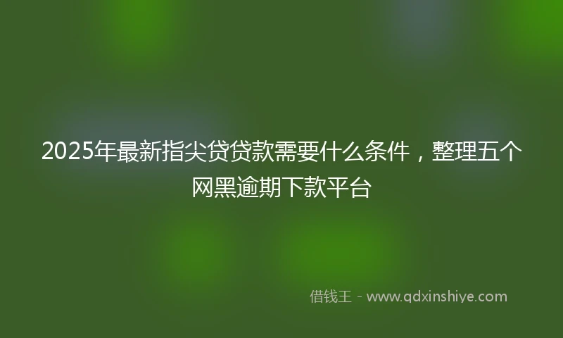 2025年最新指尖贷贷款需要什么条件，整理五个网黑逾期下款平台