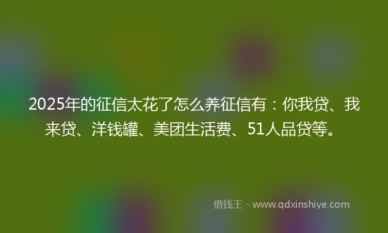 2025年的征信太花了怎么养征信有：你我贷、我来贷、洋钱罐、美团生活费、51人品贷等。
