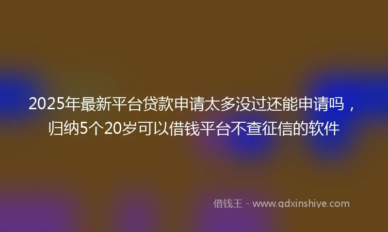 2025年最新平台贷款申请太多没过还能申请吗,归纳5个20岁可以借钱平台不查征信的软件