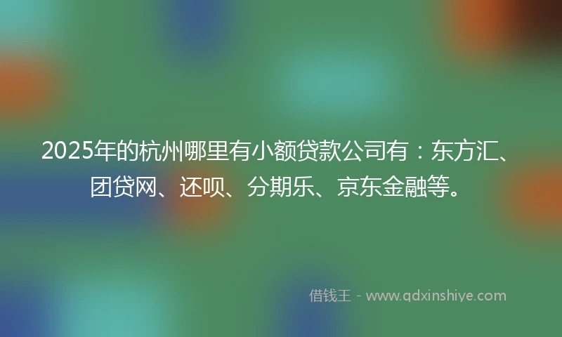2025年的杭州哪里有小额贷款公司有：东方汇、团贷网、还呗、分期乐、京东金融等。