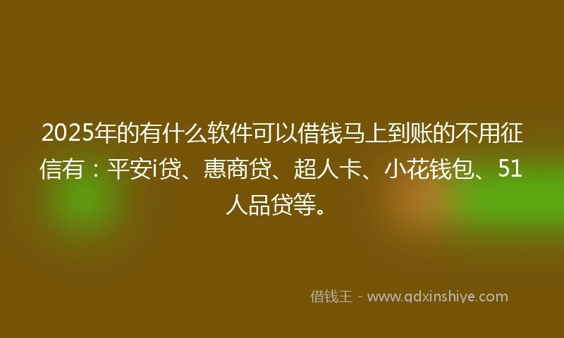 2025年的有什么软件可以借钱马上到账的不用征信有：平安i贷、惠商贷、超人卡、小花钱包、51人品贷等。