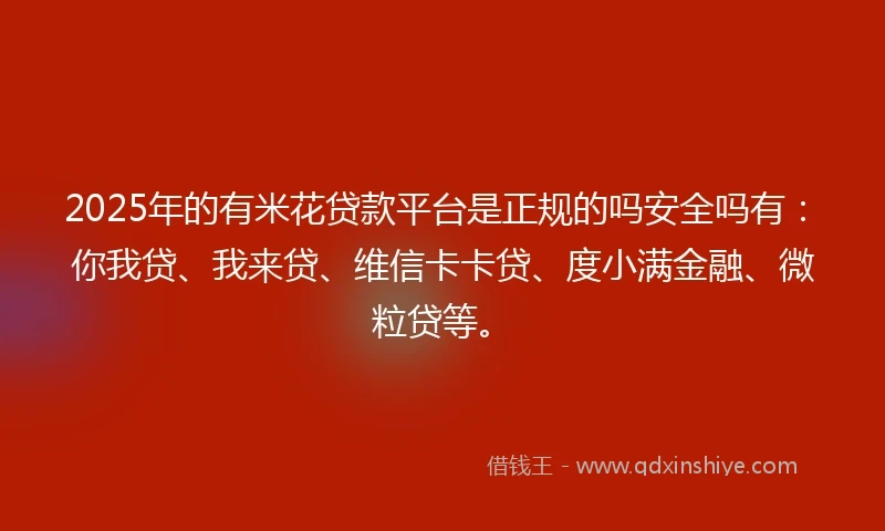 2025年的有米花贷款平台是正规的吗安全吗有：你我贷、我来贷、维信卡卡贷、度小满金融、微粒贷等。