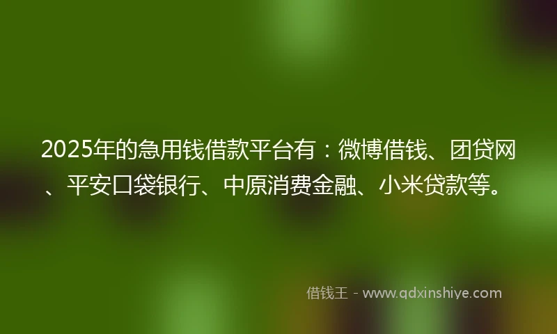 2025年的急用钱借款平台有：微博借钱、团贷网、平安口袋银行、中原消费金融、小米贷款等。