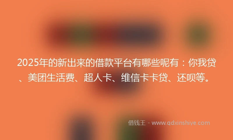 2025年的新出来的借款平台有哪些呢有：你我贷、美团生活费、超人卡、维信卡卡贷、还呗等。