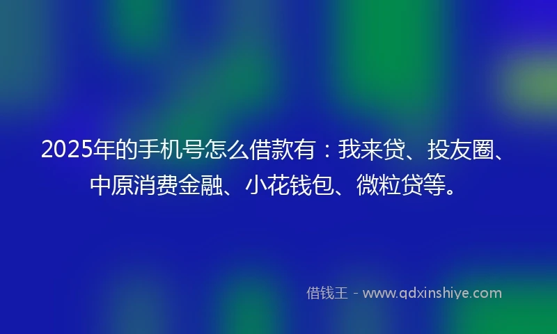 2025年的手机号怎么借款有：我来贷、投友圈、中原消费金融、小花钱包、微粒贷等。