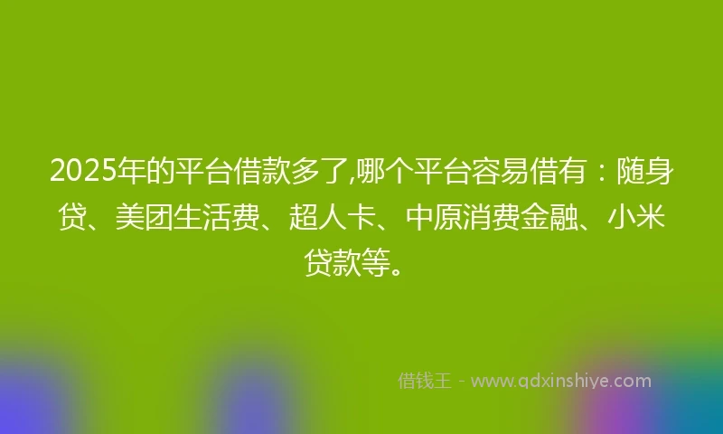 2025年的平台借款多了,哪个平台容易借有：随身贷、美团生活费、超人卡、中原消费金融、小米贷款等。