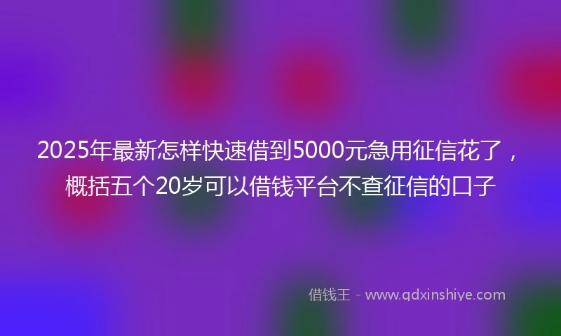 2025年最新怎样快速借到5000元急用征信花了，概括五个20岁可以借钱平台不查征信的口子