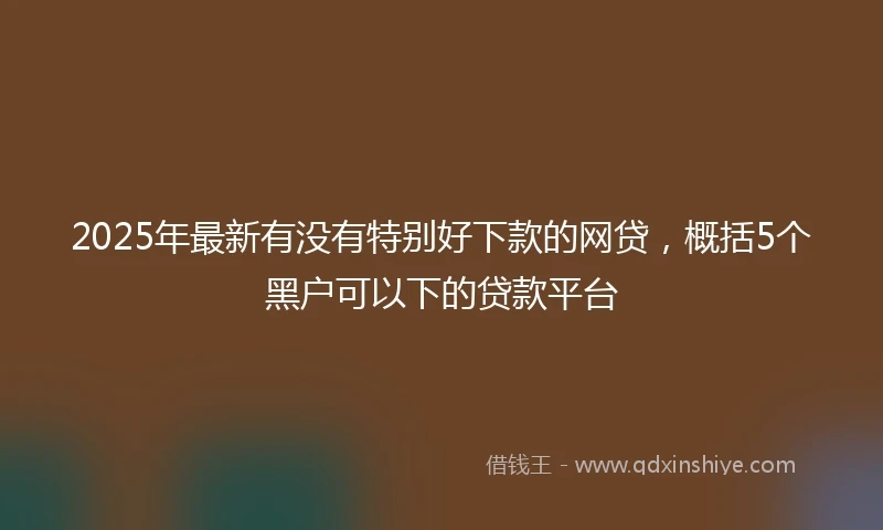 2025年最新有没有特别好下款的网贷，概括5个黑户可以下的贷款平台