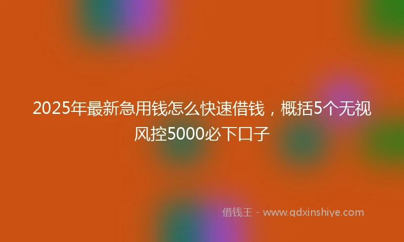 2025年最新急用钱怎么快速借钱，概括5个无视风控5000必下口子