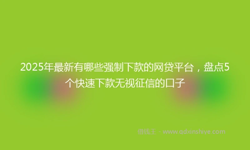 2025年最新有哪些强制下款的网贷平台，盘点5个快速下款无视征信的口子