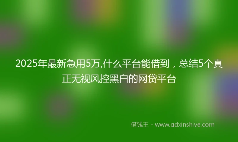 2025年最新急用5万,什么平台能借到，总结5个真正无视风控黑白的网贷平台