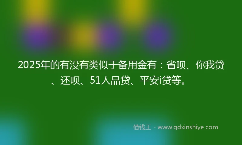 2025年的有没有类似于备用金有：省呗、你我贷、还呗、51人品贷、平安i贷等。