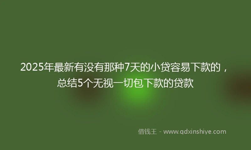 2025年最新有没有那种7天的小贷容易下款的，总结5个无视一切包下款的贷款