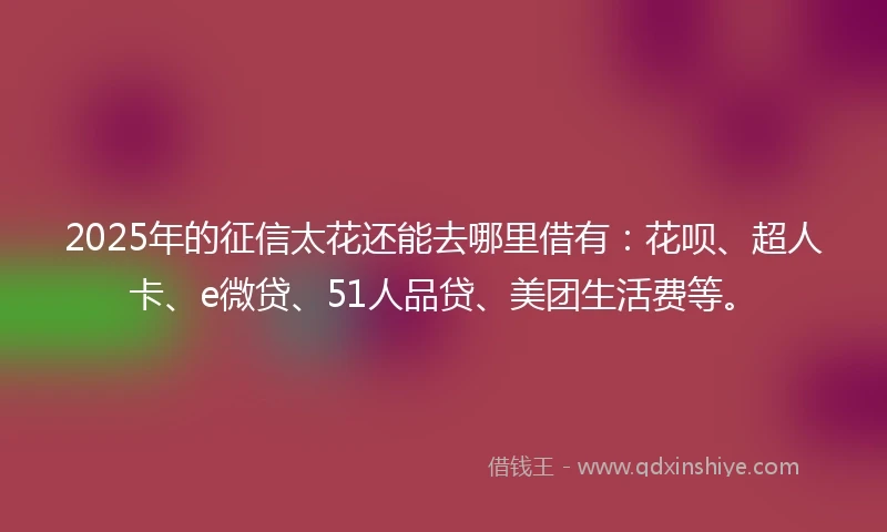 2025年的征信太花还能去哪里借有：花呗、超人卡、e微贷、51人品贷、美团生活费等。