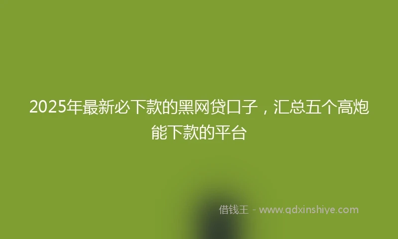 2025年最新必下款的黑网贷口子，汇总五个高炮能下款的平台