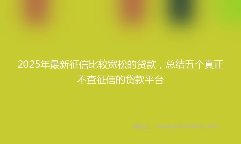 2025年最新征信比较宽松的贷款，总结五个真正不查征信的贷款平台