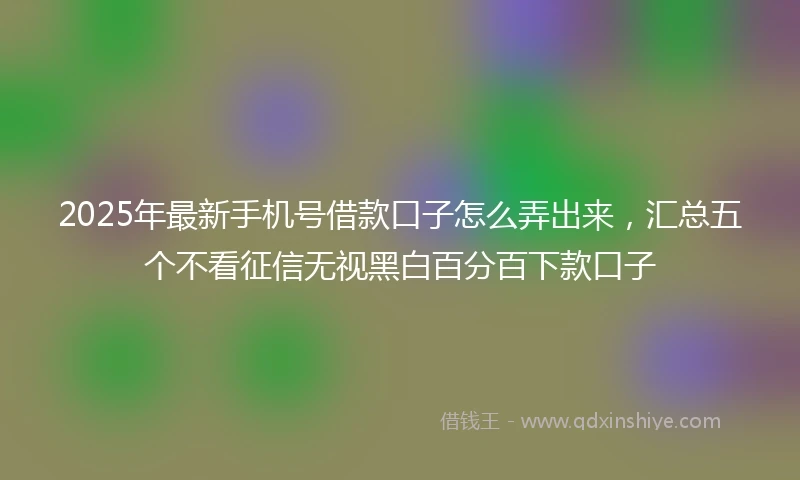 2025年最新手机号借款口子怎么弄出来，汇总五个不看征信无视黑白百分百下款口子