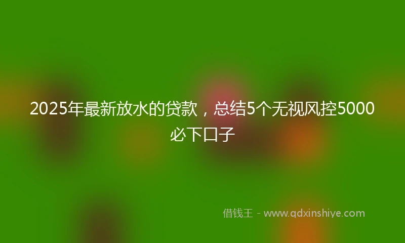 2025年最新放水的贷款，总结5个无视风控5000必下口子