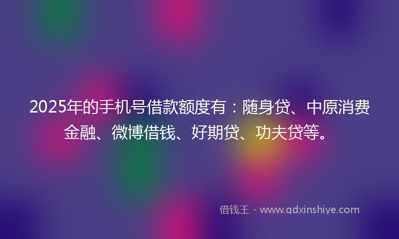 2025年的手机号借款额度有：随身贷、中原消费金融、微博借钱、好期贷、功夫贷等。