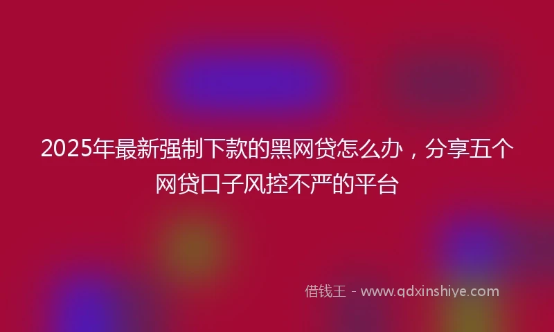 2025年最新强制下款的黑网贷怎么办，分享五个网贷口子风控不严的平台