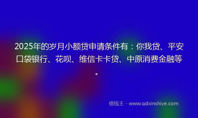 2025年的岁月小额贷申请条件有：你我贷、平安口袋银行、花呗、维信卡卡贷、中原消费金融等。