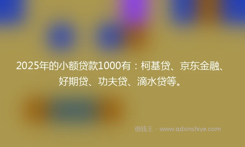 2025年的小额贷款1000有：柯基贷、京东金融、好期贷、功夫贷、滴水贷等。