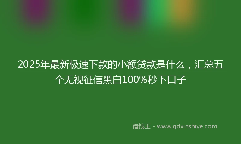 2025年最新极速下款的小额贷款是什么，汇总五个无视征信黑白100%秒下口子