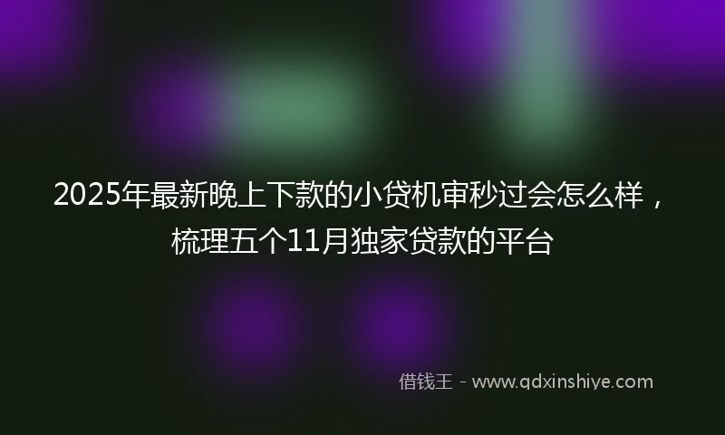 2025年最新晚上下款的小贷机审秒过会怎么样，梳理五个11月独家贷款的平台