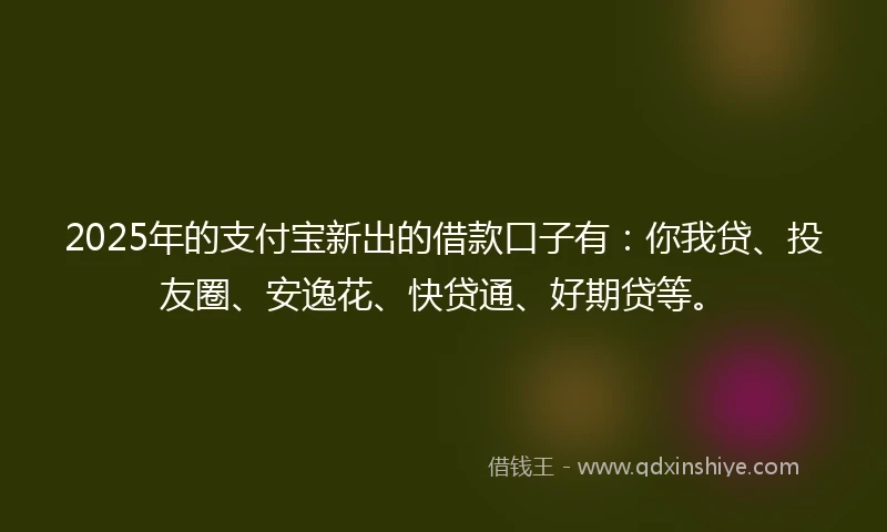 2025年的支付宝新出的借款口子有：你我贷、投友圈、安逸花、快贷通、好期贷等。