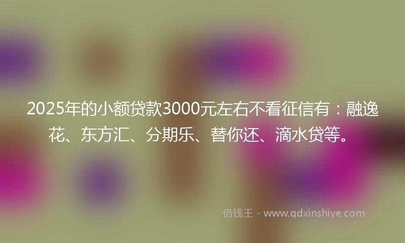 2025年的小额贷款3000元左右不看征信有：融逸花、东方汇、分期乐、替你还、滴水贷等。