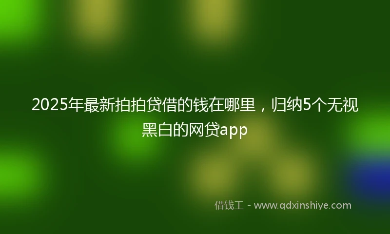 2025年最新拍拍贷借的钱在哪里，归纳5个无视黑白的网贷app
