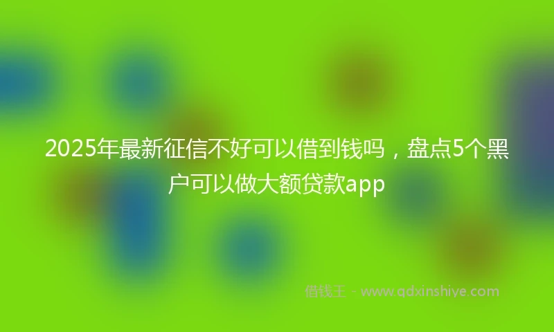 2025年最新征信不好可以借到钱吗，盘点5个黑户可以做大额贷款app