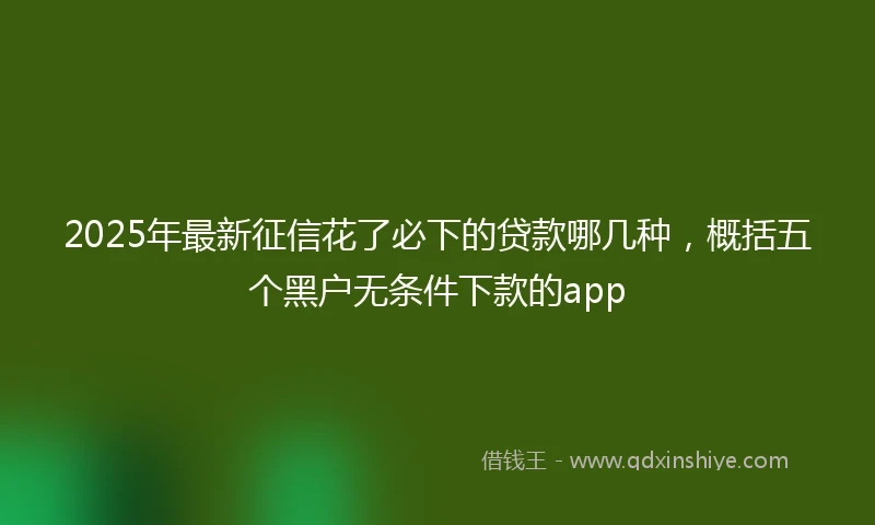 2025年最新征信花了必下的贷款哪几种，概括五个黑户无条件下款的app