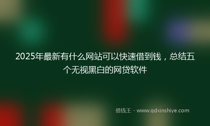 2025年最新有什么网站可以快速借到钱，总结五个无视黑白的网贷软件
