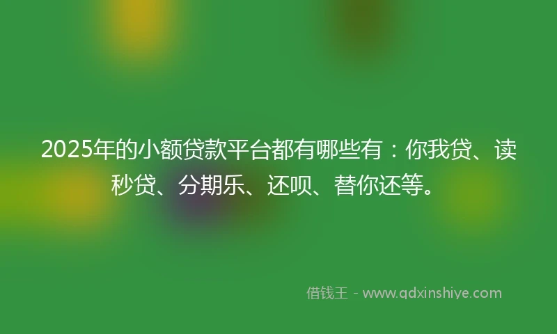 2025年的小额贷款平台都有哪些有：你我贷、读秒贷、分期乐、还呗、替你还等。
