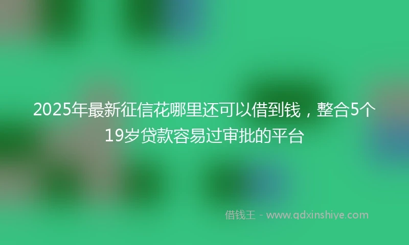 2025年最新征信花哪里还可以借到钱，整合5个19岁贷款容易过审批的平台
