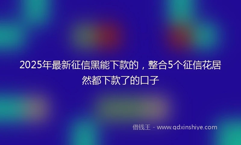 2025年最新征信黑能下款的，整合5个征信花居然都下款了的口子