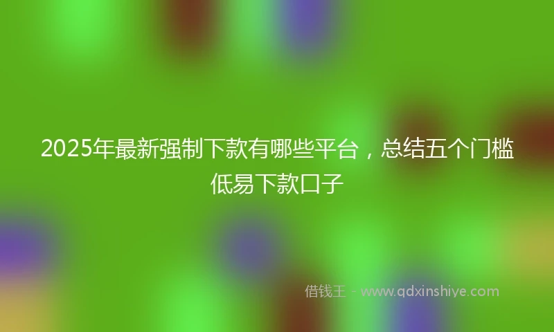 2025年最新强制下款有哪些平台，总结五个门槛低易下款口子