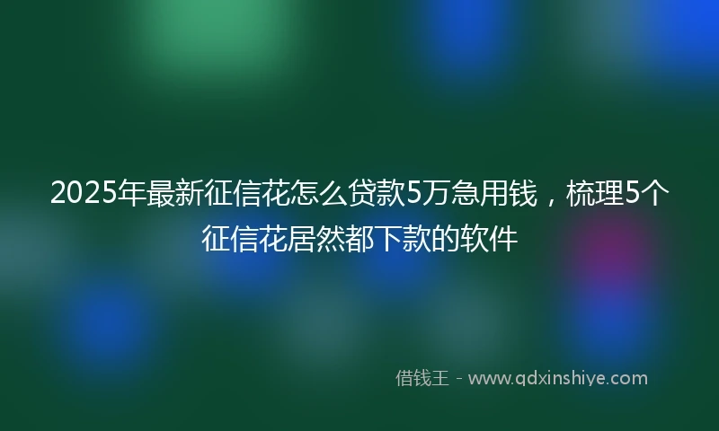 2025年最新征信花怎么贷款5万急用钱，梳理5个征信花居然都下款的软件