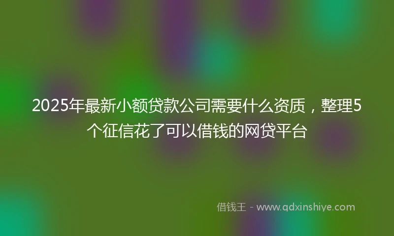2025年最新小额贷款公司需要什么资质，整理5个征信花了可以借钱的网贷平台