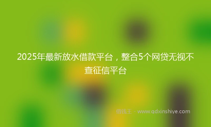 2025年最新放水借款平台，整合5个网贷无视不查征信平台
